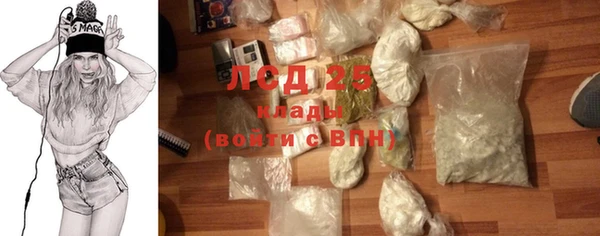 индика Заречный