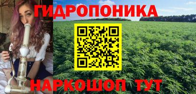 apvp Обнинск